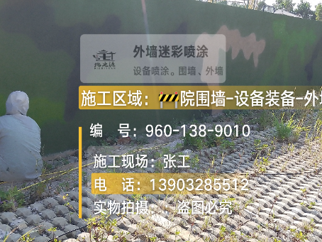 玉林外墙迷彩漆材料价约 45-60 元 /k