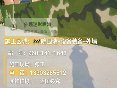 玉林 迷彩漆喷涂价格（按平方米计费）