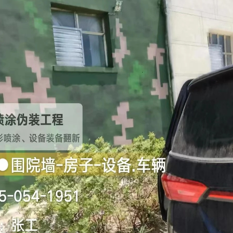 玉林数码迷彩漆施工